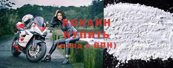 тгк Лиски