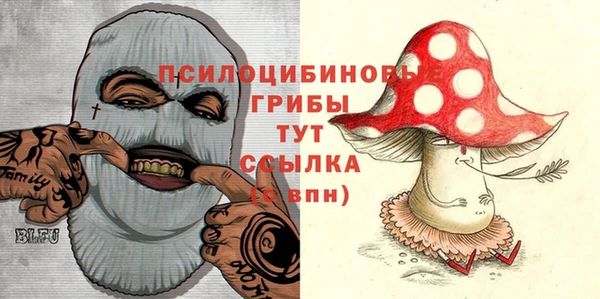 тгк Лиски