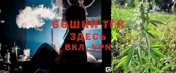 тгк Лиски