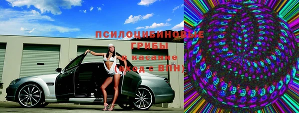 индика Лагань