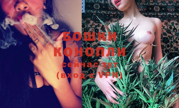 дживик Липки
