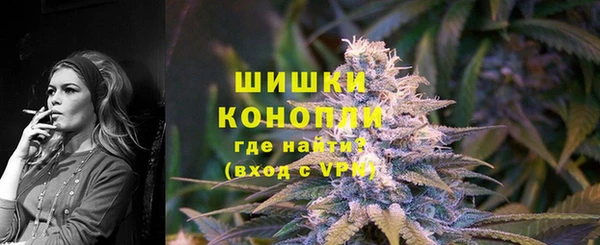 дживик Липки