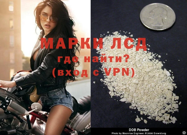 индика Лагань
