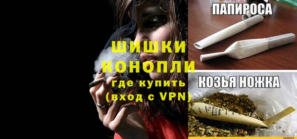 дживик Липки