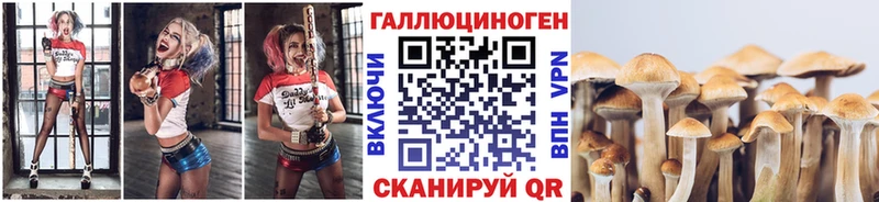 купить наркотик  Лесозаводск  Галлюциногенные грибы мухоморы 