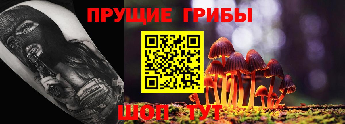 Псилоцибиновые грибы Cubensis  Вход с VPN  Лесозаводск 